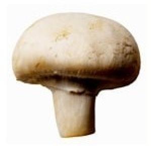 nil